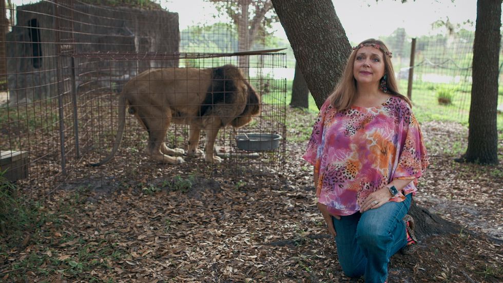 How Did Carole Baskin Become the Least Popular Figure in Netflix's 'Tiger King'?