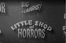 Expert: Producer Made B Movies, But Mentored A-List Directors